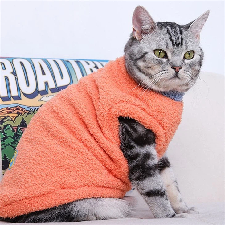 Custom Cat Clothing2